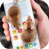 鼠标在屏幕上可怕的笑话苹果版 v1.0 iPhone/iPad 最新版