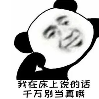 我在床上的话千万别当真表情包大全 超搞笑熊猫人聊天表情包