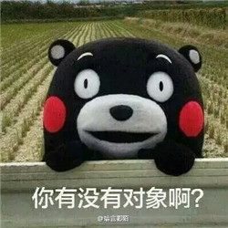 2017情人节熊本熊表白表情包 适合单身狗用的QQ表情包