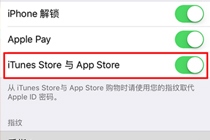 苹果7App Store指纹识别怎么设置 iPhone7 App Store设置指纹识别方法