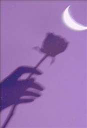 一组超级温柔又浪漫的紫色系壁纸 在日升月落里等待更好的一年