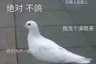 鸽子的反义词是知更鸟什么意思 鸽子的反义词是知更鸟梗的出处