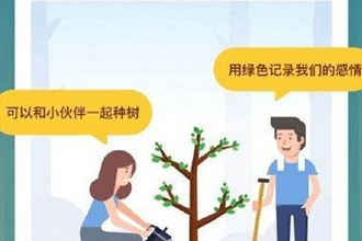 蚂蚁森林合种树在哪里 支付宝蚂蚁森林合种树怎么种