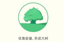 支付宝蚂蚁森林怎么才能种树 蚂蚁森林种树教程