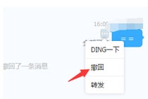 钉钉怎么撤回消息 钉钉聊天消息撤回方法