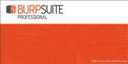 burpsuite pro中文破解版