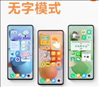 MIUI13无字模式怎么打开？MIUI13无字模式设置教程