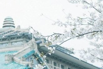 武汉大学樱花雨贴纸在哪 武汉大学樱花雨贴纸怎么玩