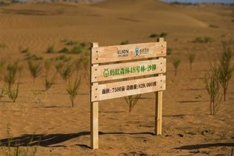 支付宝蚂蚁森林电子稻草人是什么 蚂蚁森里电子稻草人在哪里