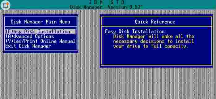 disk manager version