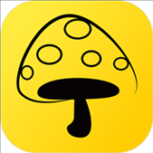 蘑菇丁app电脑版 v3.4.1 官方pc版