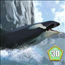 海洋3d蓝鲸模拟游戏下载