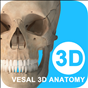 维萨里3d解剖电脑版 v2.5.1 pc版