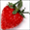 红草莓事件提醒软件 v1.0 电脑版