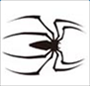 影视蜘蛛磁力链接软件 v1.0 无限制免费版