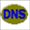 DNSDataView(DNS记录批量查询)