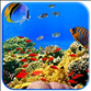 热带鱼水族箱屏幕保护程序 v3.3 汉化版