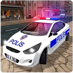 真实警察驾驶模拟游戏下载