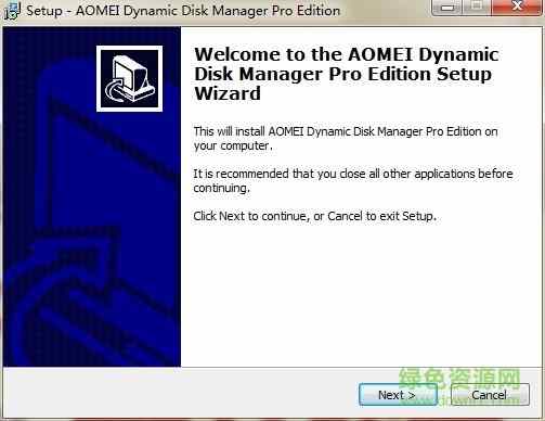 dynamic disk manager中文版