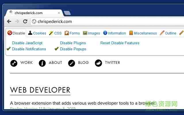 web developer chrome