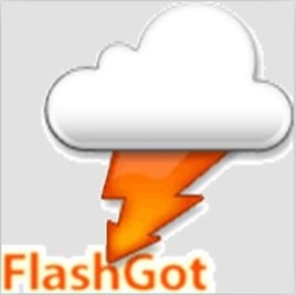 FlashGot(火狐下载工具)