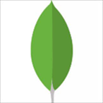 nosql manager for mongodb v5.0.0.6 破解版