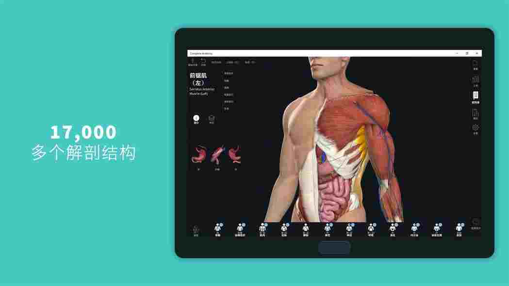 complete anatomy 2021 windows版