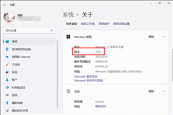win11版本号怎么看