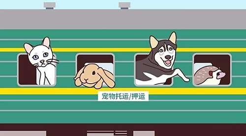 想带宠物猫一起乘火车出行，较为安全稳妥的方法是