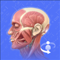 3Dbody解剖学App下载