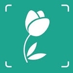 花草植物识别app下载