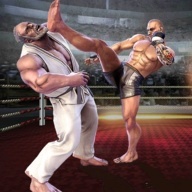 拳击俱乐部3D v2 安卓版