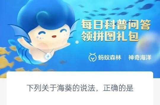 下列关于海葵的说法正确的是