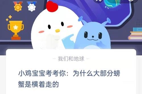 小鸡宝宝考考你为什么大部分螃蟹是横着走的