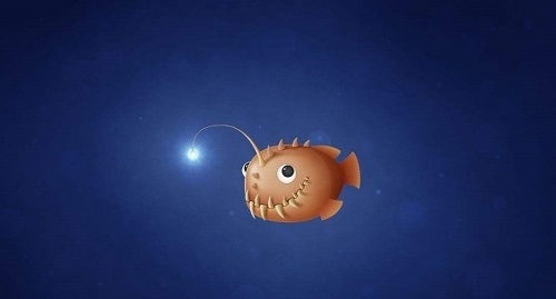 以下哪种鱼会用发光的小灯笼诱捕猎物