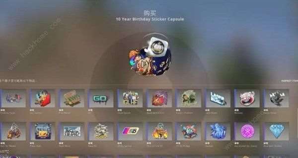 CSGO十周年胶囊多少钱 CSGO十周年胶囊怎么获得[多图]图片1