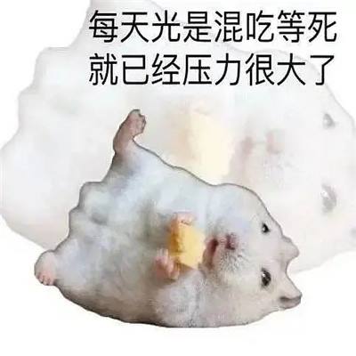 每款都好爱给我们带来开心表情 来打我呀我有医保