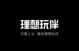 理想玩伴app官方下载