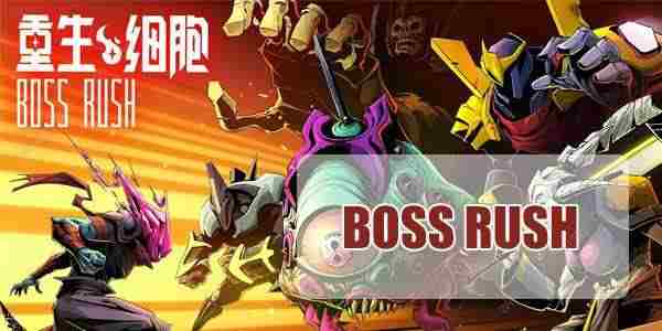 重生细胞BOSS RUSH从哪里进 BOSS RUSH挑战入口详解[多图]图片1