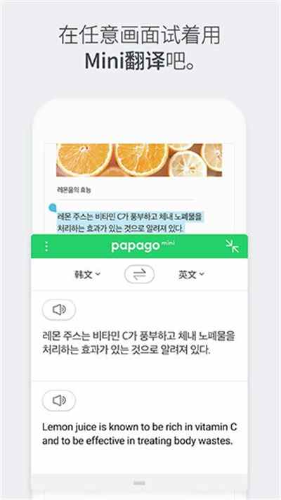 papago中韩翻译 v1.5.4 安卓版 0