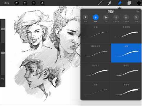 大师级画板Procreate v4.9.9 安卓版 0