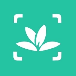 植物识别app(形色) v3.14.20 安卓版