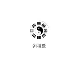 91排盘软件官方手机版下载