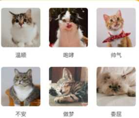 猫语狗语转换器