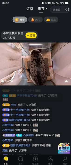 哈啰街猫app下载