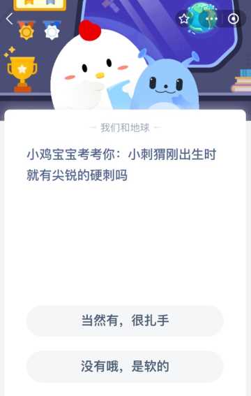 小鸡宝宝考考你:小刺猬刚出生时就有尖锐的硬刺吗？