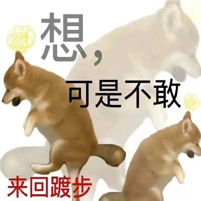 快乐到犯规的表情大全 网络上开放一点怎么了