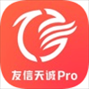 友信天诚pro