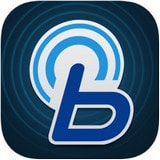 BlueLink