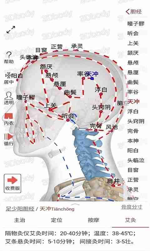 3Dbody经络穴位